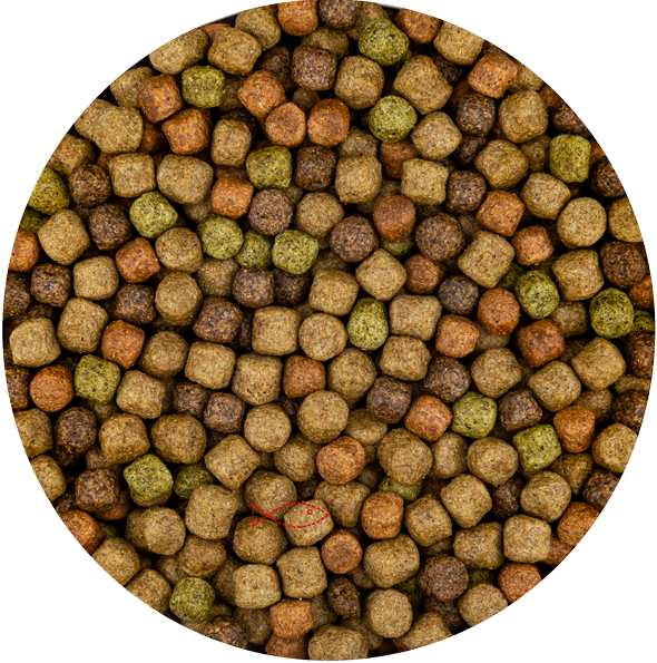 BluFeed - Premium Japan Mix - Koi - Visvoer Vijver - 6mm - 2kg