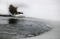 Cómo evitar que el estanque se congele en invierno